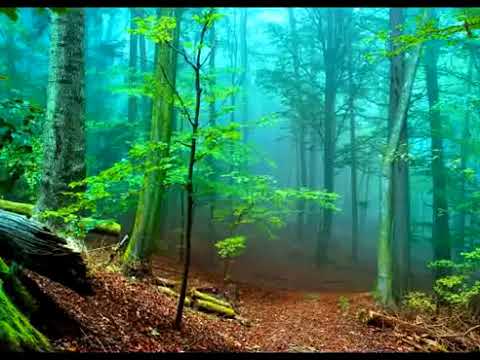 A Battle of wits   30  A Battle of wits