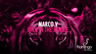 Marco V - Back In The Jungle (Preview) [Flamingo Recordings]