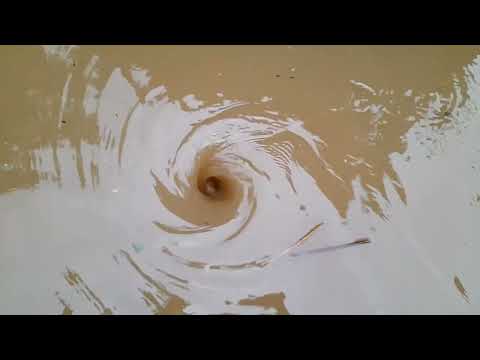 #sivid #art #watch #shorts #shortsvideo