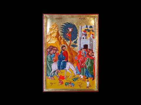 Omelia Domenica delle Palme 14.4.2019