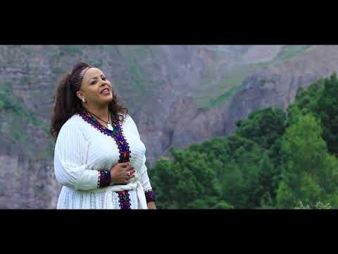 Amsal Mitike / ወይ ወሎ / Ethiopian Music 2019 (Official Video)