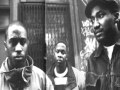 A Tribe Called Quest, Description of a Fool