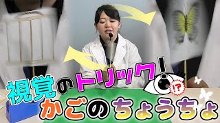 おうちでもできる！おもしろ実験工作 #14「視覚のトリック！かごのちょうちょ」