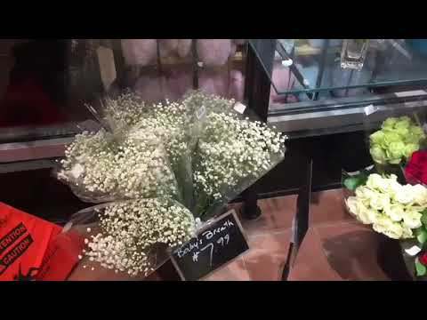 Beautiful Fresh Flowers | Wajiha's Vlog