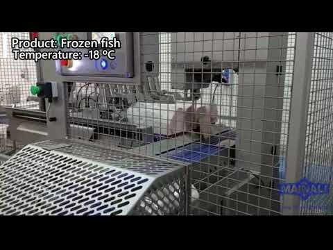 Automatic bandsaw RB1 double cut: Frozen fish/Sierra automática RB1 corte doble: Pescado congelado