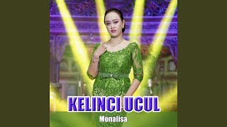 Download lagu Kelinci Ucul mp3 Download lagu Kelinci Ucul mp3