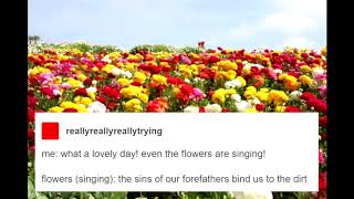 what a lovely day! even the flowers are singing!