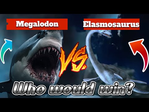Megalodon vs. Elasmosaurus Epic Battle#megalodon #elamosaurus#epicbattle #fight #win #loss