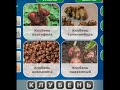 Одним словом ЧТО ОБЩЕГО Ответы Эпизод 5 Париж