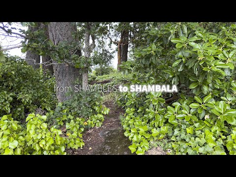 June 2024 Energy Update - "Wonderful Opportunities!"