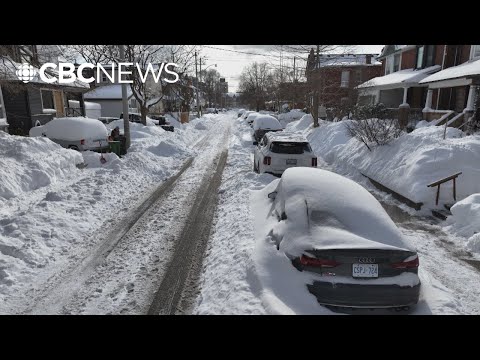 Toronto shifting to snow removal after days of plowing, city says