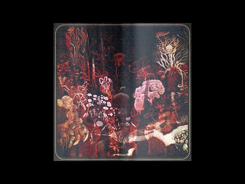 Arab Disco, Italo, Afro-Boogie | Stereo Ferment EP41