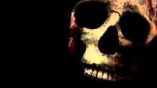 Daisy Cutter - SPEEDCORE AND HASH