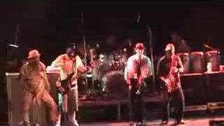 Slightly Stoopid - Ever Really Wanted/Older with Fishbone