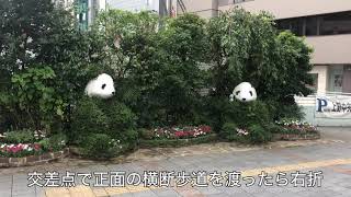 銀座カラー 上野公園前店 脱毛サロン クリニック比較ナビ