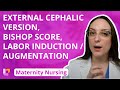 External Cephalic Version, Bishop Score, Labor Induction/Augmentation - Maternity | @LevelUpRN