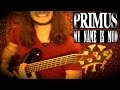 My Name is Mud - BASS cover [PRIMUS] HD 