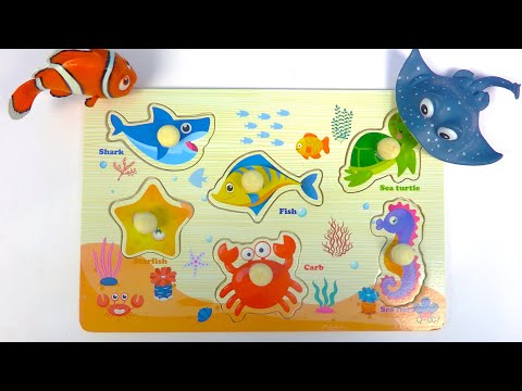 Create and Learn Sea Animal Names with Play Doh | Educational Puzzle | Learning Video for Toddlers