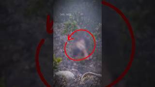 Download lagu Finally! This mountain climber was found after going missing mp3 Download lagu Finally! This mountain climber was found after going missing mp3