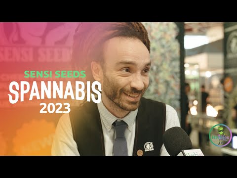 Interview with Sensi Seeds || Herbies Seeds || Spannabis Barcelona 2023