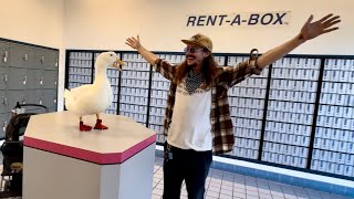 I took my duck to Get A PO-Box!