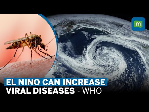 WHO Prepares For El Nino Linked Spread Of Viral Diseases Like Dengue, Zika Virus & Chikungunya