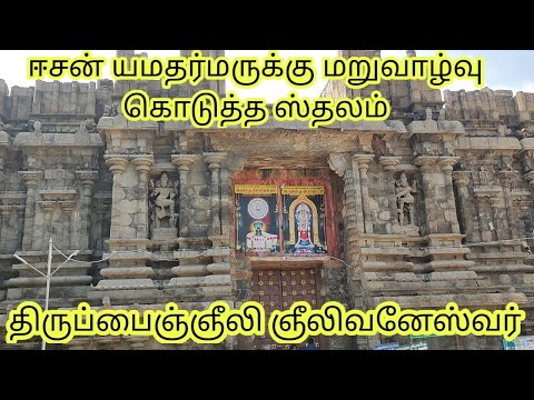#திருப்பைஞ்ஞீலி #ஞீலிவனேஸ்வரர் கோவில் வரலாறு | #Tirupainjneeli temple history in tamil