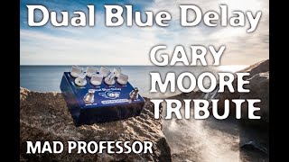 Video thumbnail for Mad Professor Dual Blue Delay demo part 2 by Marko Karhu by Mad Professor Pedals