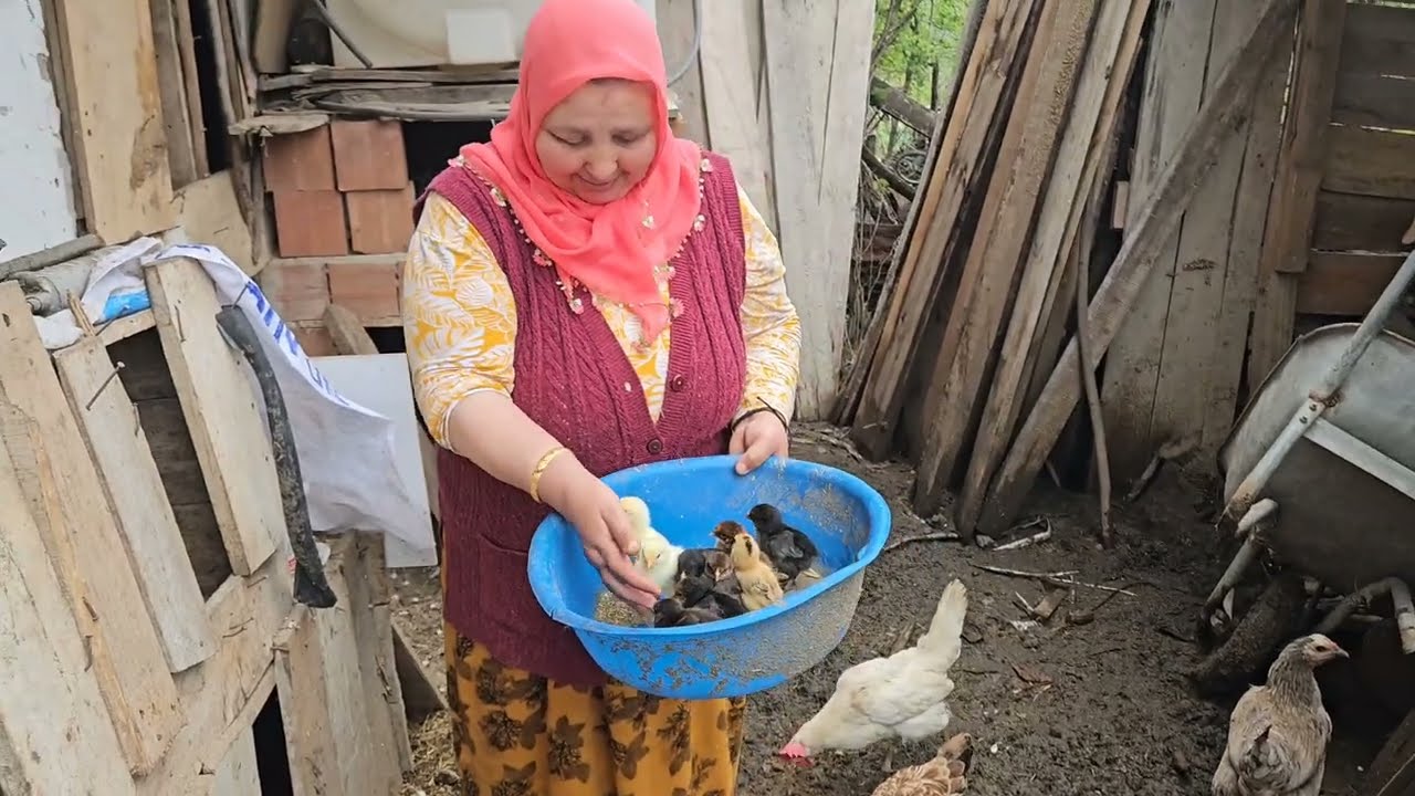 ‼️KAPIDA TİCARET YAPTIK HIDIRELLEZ DE FASULYE NASIL DİKİLİR ‼️