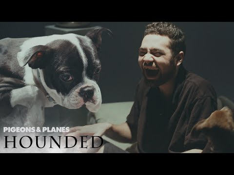 Wiki Gets Interviewed by Puppies | Hounded