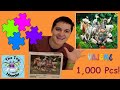 1000 Piece Animal World Jigsaw Puzzle Plus Tips Tricks