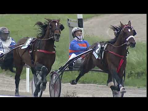 Napoli Trotto 21/05/2023 - 4ª corsa