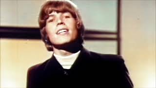 NEW * There&#39;s A Kind Of Hush - Herman&#39;s Hermits {Stereo}