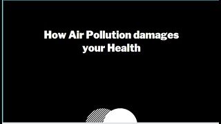 How Air Pollution damages your health