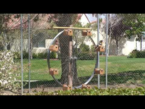 Ferris Wheel Bird Feeder