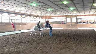 Sons Of The Wind Farm - Portuguese School Field Trip - Lusitano Horse - April 2012