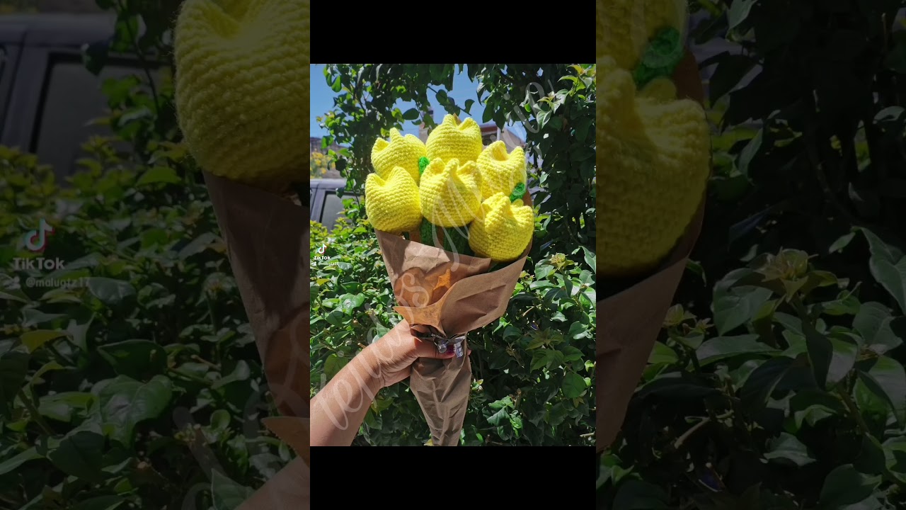 Por qué se regalan flores amarillas hoy 21 de marzo? 💛 #like #suscribete #viral #flores