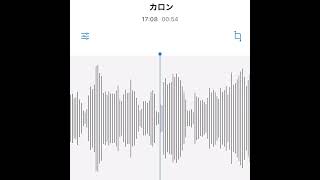 - #駄菓子cOver型 - カロン/ねごと