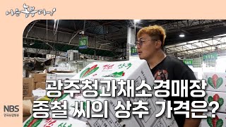 [나는농부다 310회] 광주청과채소경매장 종철 씨의 상추 가격은?
