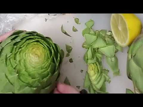 download lagu mp3 mp4 Artichokes And Keto, download lagu Artichokes And Keto gratis, unduh video klip Artichokes And Keto