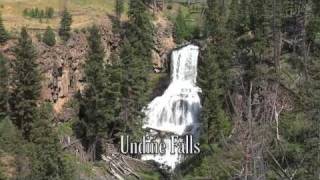 preview picture of video 'Yellowstone 2008 youTube edition part two'