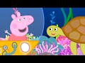 Peppa Pig Learns About The Great Barrier Reef Kids TV And Stories