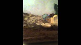 Hermit crab awake moving antennae