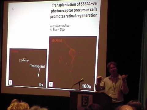 2012 CRF Conference: Dr. Michael Young, Pt. 2
