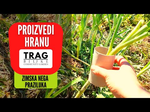 PRODUCE FOOD FROM BIO FARMING - WINTER CARE OF LEEKS (2022) [TRACE OF THE PLANT]