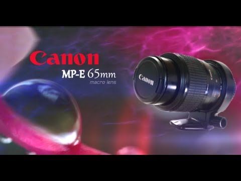 Обзор Canon MP-E 65mm f/2.8 1-5x Macro