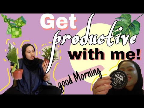 productive saturday, cats gromming, indoor plants