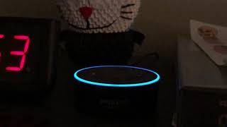 Destiny 2 Ghost skill for Amazon Echo demo