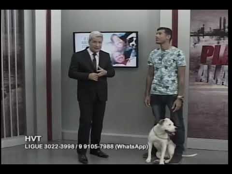 Get it, Baron! Pitbull