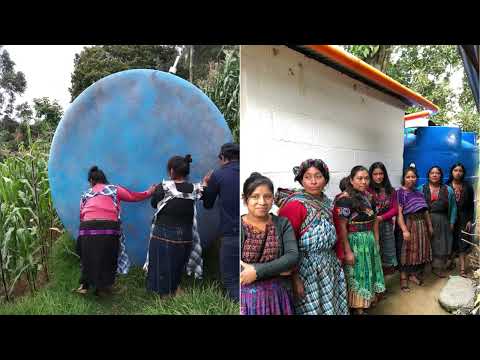 "Seeds of Resilience: An Indigenous Women-Led Tree